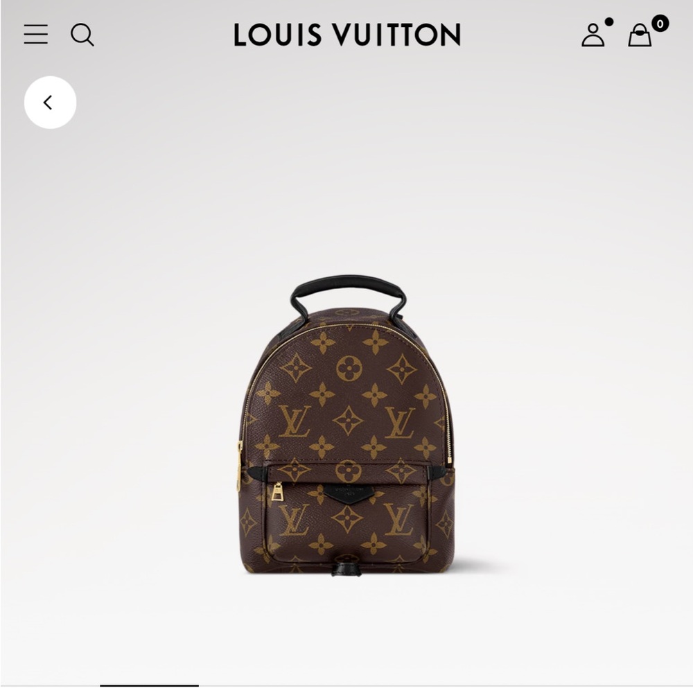 Louis Vuitton M44873 Palm Springs Mini - Picture 3 of 13